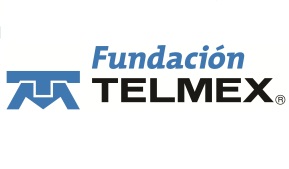 Fundacion Telmex